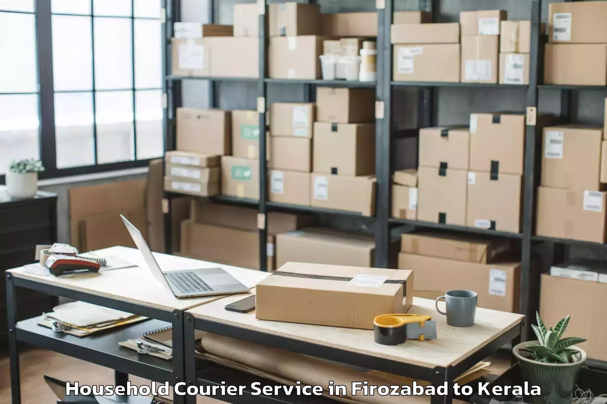 Professional Firozabad to Pandalam Household Courier